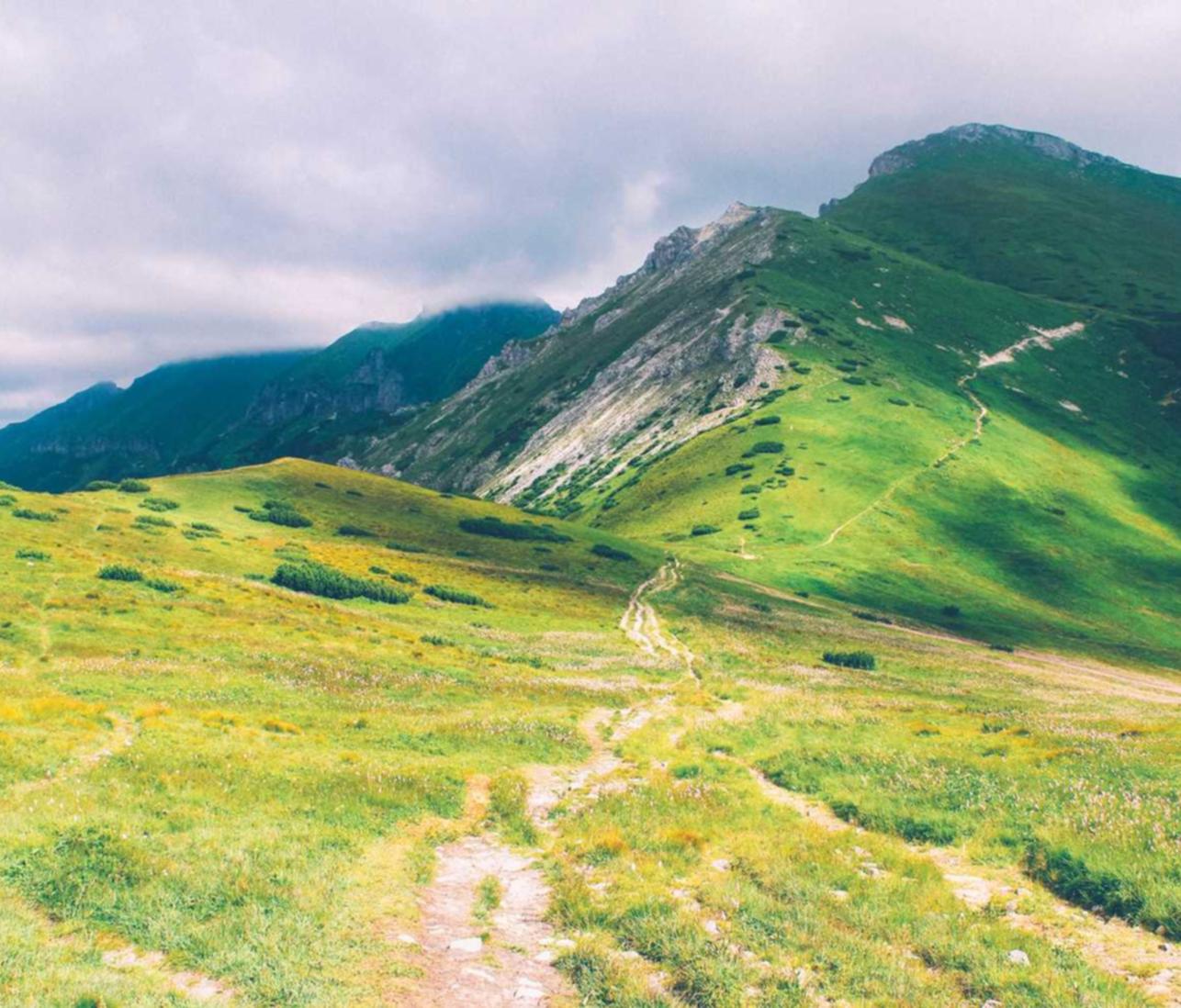 中国移动实名账号:详情下载教程阿app